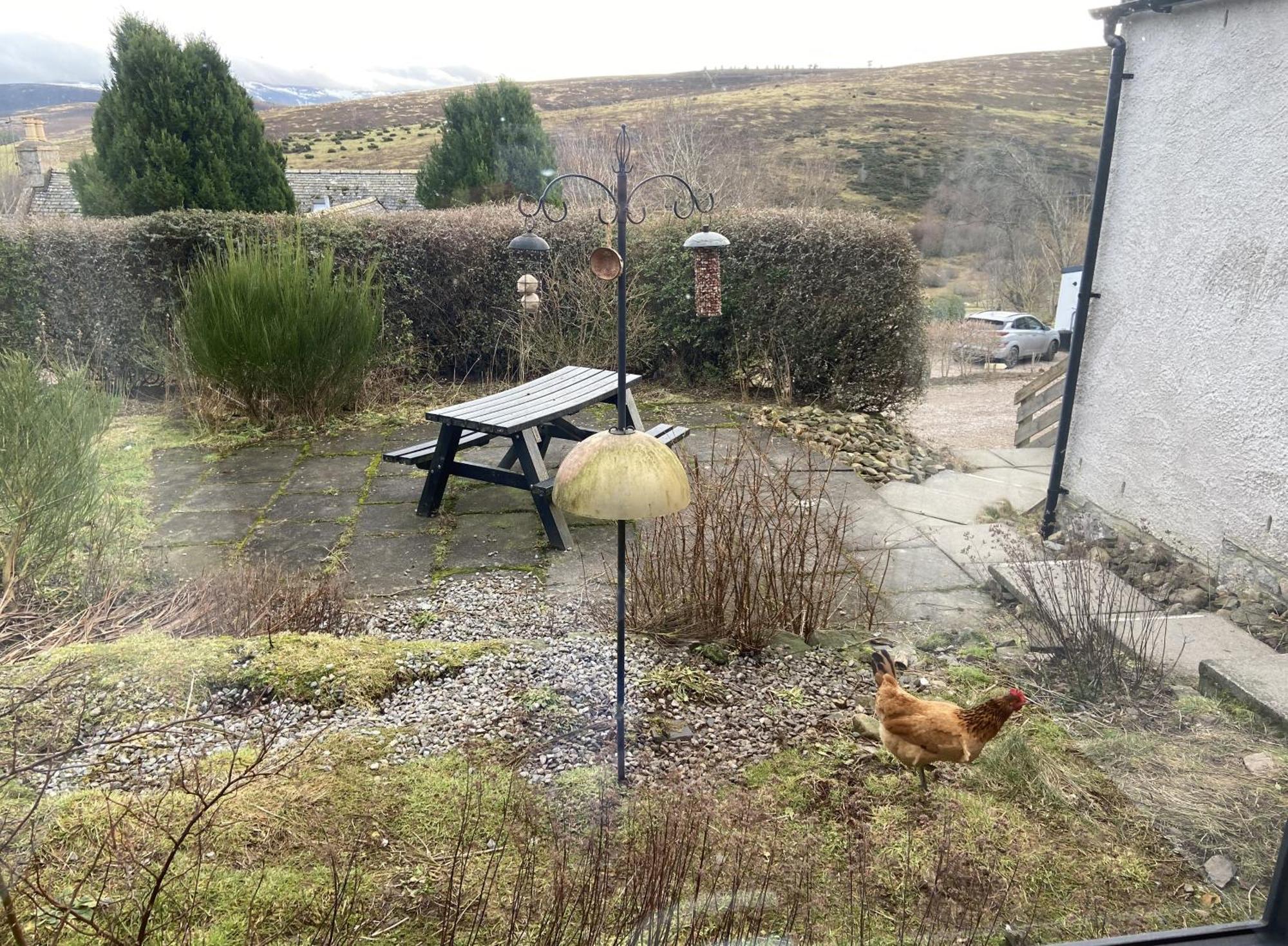 Easter Corrie Cottages Ballindalloch Exteriör bild